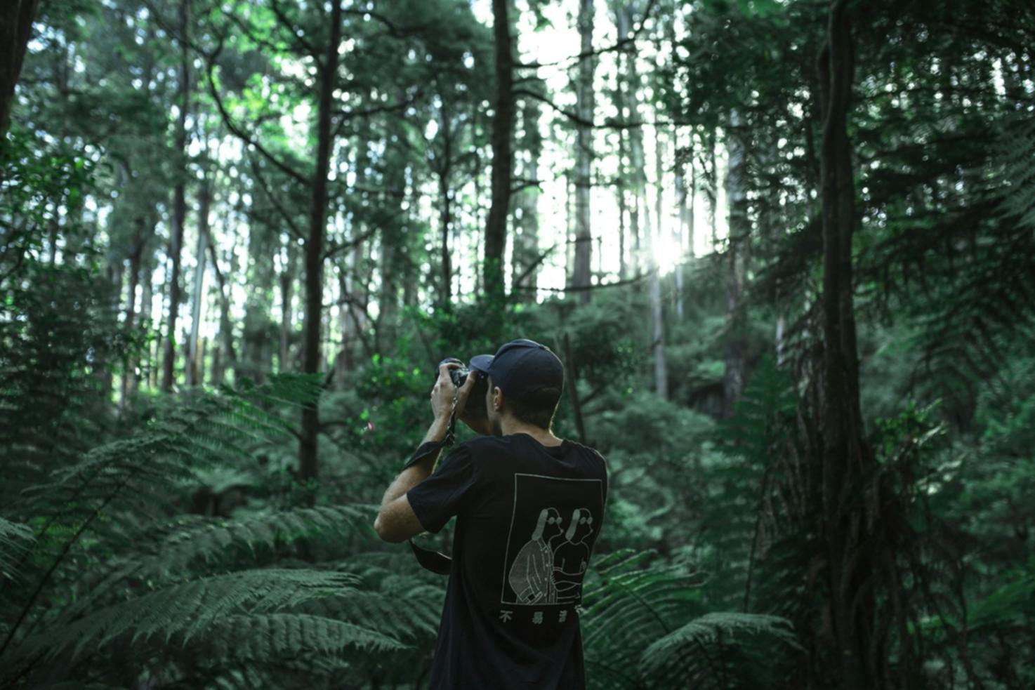 Esempio pratico di tecnica fotografica in ambiente naturale